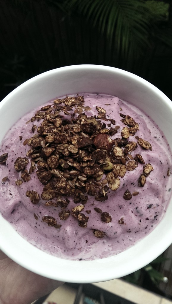 Off-Duty Dietitian - Low FODMAP Berry Banana Smoothie Bowl with Chocolate Granola Topping